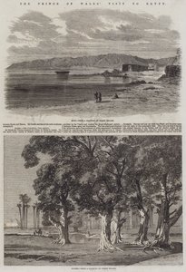 La visita del Príncipe de Gales a Egipto